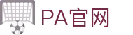 PA电子|PA电子官方网站